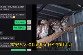 腾讯企鹅号“黎明计划”，然来我早就遇到过……视频封面