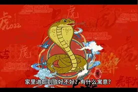 家里进蛇到底好不好？有什么寓意？