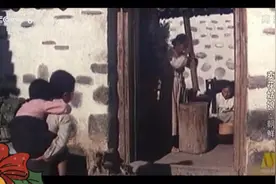 穷人家孩子的悲惨命运视频封面