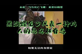 黑蝴蝶代表一种对亲人的思念和眷恋