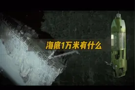 海底1万米的不同深度都潜伏着哪些海洋生物？