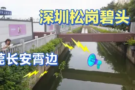 今天来到深圳松岗碧头地铁站，离东莞长安霄边很近，来回很方便视频封面