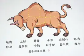 牛腩是牛的哪个部位？视频封面