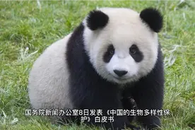 生物多样性最丰富的国家之一，中国！视频封面