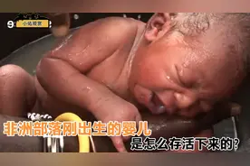 非洲部落刚出生的婴儿，是怎么生存下来的？看完震惊生命的顽强视频封面