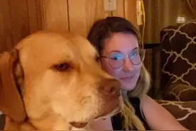 狗狗犯困视频封面