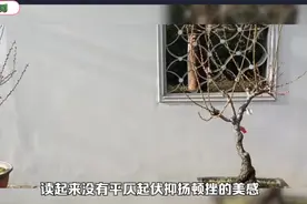 七律《咏梅》格律释义视频封面