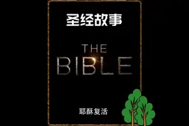 耶稣复活的故事视频封面