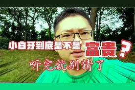 小白牙到底是不是富贵？听完就别猜了，网络大神太多了！我服了视频封面