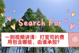 一则视频讲清：打官司的费用包含哪些、由谁承担？