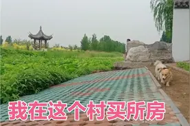 80后姐姐带网友看看天津农村环境。北辰区名村，环境优美，太棒了视频封面