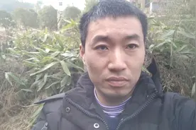 农村山旁边长有许多粽叶，大山里原生态，小时候上山摘粽叶包粽子