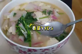 萝卜丝炖豆腐加香菜今天就一个菜 吃饱就行 啥也不挑视频封面