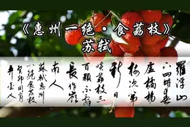 苏轼《惠州一绝·食荔枝》日啖荔枝三百颗，不辞长作岭南人视频封面