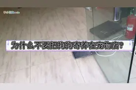 为什么不要把狗狗寄养在宠物店？李小花这可能有答案
