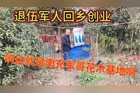 南充退伍军人回乡创业，种值花木十年有余，他到底能赚钱吗？视频封面