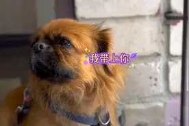 笑到肚子痛的100个笑话