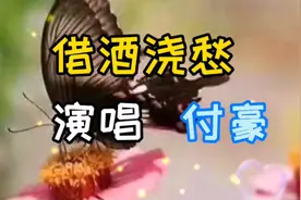 付豪《借酒浇愁》最近爆红网络，虐心的旋律，让人无法承受