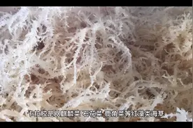 李辉带您了解卡拉胶的由来和在食品中作用，性质！