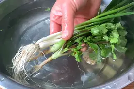 奶奶吃了一辈子香菜葱姜汤水，感冒鼻涕不见了，身体棒棒的。