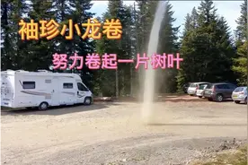 最小的龙卷风有多小？很小很萌，与树叶较劲!视频封面