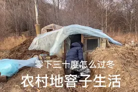 东北零下三十度，在山里地窨子生活怎么过冬？会不会有老虎？视频封面
