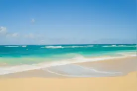 杨坤-月亮可以代表我心 想你就像黑咖啡那么浓 没喝过的人不会懂