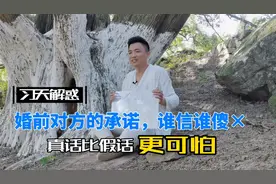 婚前的承诺，不论真假，一文不值！