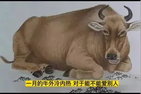 生肖牛几月生最容易成功