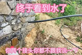 至少努力过，终于有回报。视频封面