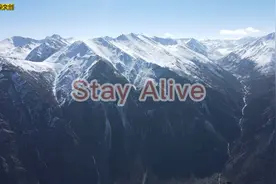 白日梦想家，片尾插曲stay alive