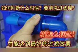 如何判断什么时候清洗滤棉，棉如何摆放才能达到最最好的效果？视频封面
