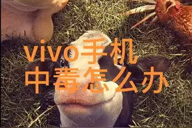 vivo手机中毒了怎么办？来，我教你一招杀敌视频封面