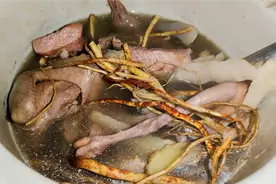 广东入秋靓汤“鸽子”这样搭配，汤浓味香超好喝，还好处多多