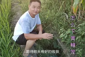 农村大叔教大家怎么下黄鳝笼，用什么饵料，其实很简单