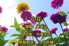 崔伟立一首《小花》网上又火了，歌声悠扬旋律优美，太好听了！