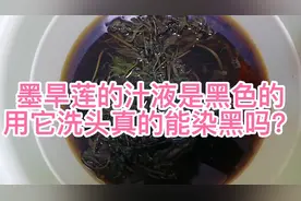 白转黑打卡115天白发何时能转黑？墨旱莲洗头真的能染黑白发吗？
