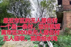 佛山市高明区离市区300米无人居住村，一岛一村，世外桃源