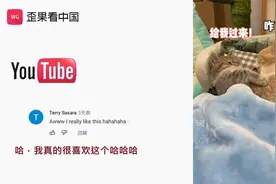 国外看中国抖音宠物像极了男女朋友日常 老外：好真实 笑死我了视频封面