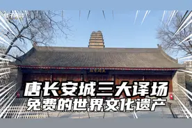 西安最不该错过的景点，免费的世界文化遗产，唐长安3大译场之一视频封面