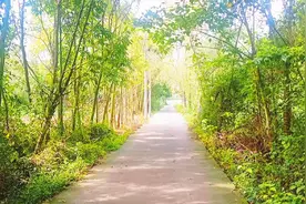 一首(拈花一笑)原唱:杨钰莹，听完了，感谢大家支持。