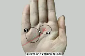 凤尾纹在手，男可娶贤妻，女可嫁贵夫