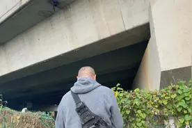 狗肉不列入家畜家禽类，小动物保护法迟早要出台，流浪狗的春天