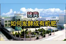 猪粪怎么发酵成有机肥，3种方法根据实际情况选择，农村赚钱项目