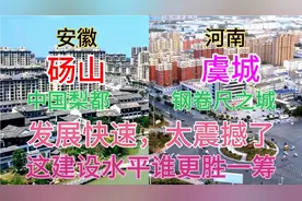 河南与安徽毗邻的两大县砀山和虞城，看下它们的城建差距有多大视频封面