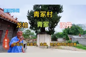 南阳邓州，青冢村，龙柏，汉井，青冢，斩龙沟，金盘子金湾的传说视频封面