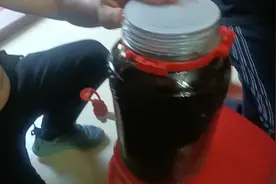 滋阴补肾药酒来一杯！谁想喝！视频封面