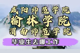 陕西高校6:渭南师范学院、榆林学院、咸阳师范学院就业解析视频封面