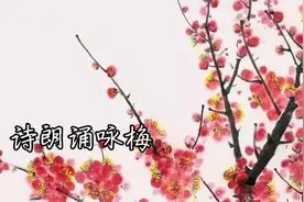 待到山花烂漫时，她在丛中笑。敬诵毛主席诗词《咏梅》请欣赏。视频封面