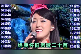 经典怀旧歌曲二十首/仿佛又回到过去美好的时光